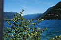 Lago di Como_225